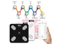 balance-intelligente-bluetooth-small-0