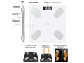 balance-intelligente-bluetooth-small-2