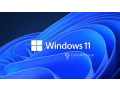 windows-version-11-22h2-small-0