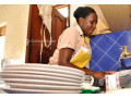 offre-demploi-menagere-a-temps-partiel-small-0