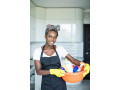 offre-demploi-femme-de-menage-small-0