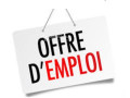 offre-demploi-commerciale-small-0