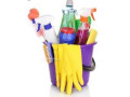 offre-demploi-menagere-small-1