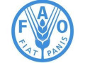 offre-demploi-administrateur-small-0