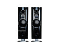 nasco-home-cinema-31-45w-small-1