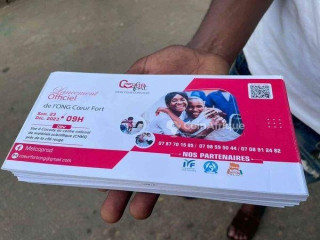 Conception flyers