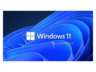 Windows version 11 22h2