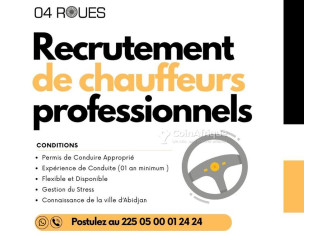 Offre d'emploi - Chauffeur professionnel