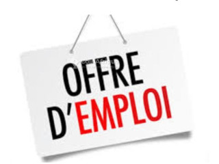 Offre d'emploi - Commerciale 