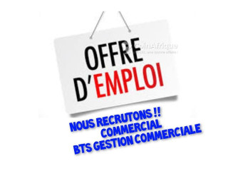 Offre d'emploi - Gestionnaire commerciale