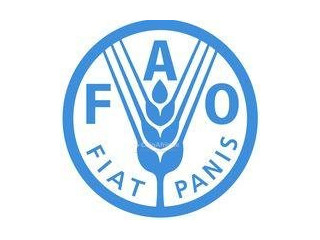 Offre d'emploi - Administrateur 