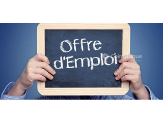 Offre d'emploi - Gérant 