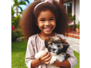 Chiot