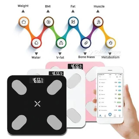 balance-intelligente-bluetooth-big-0