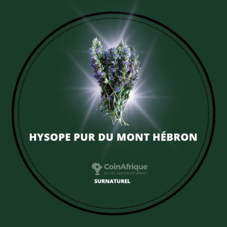 affiche-publicitaire-big-2