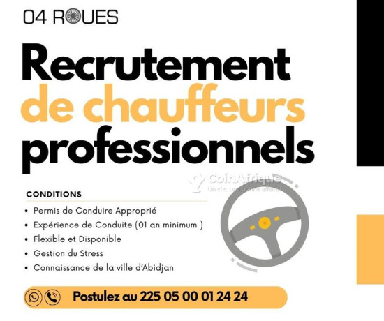 offre-demploi-chauffeur-professionnel-big-0