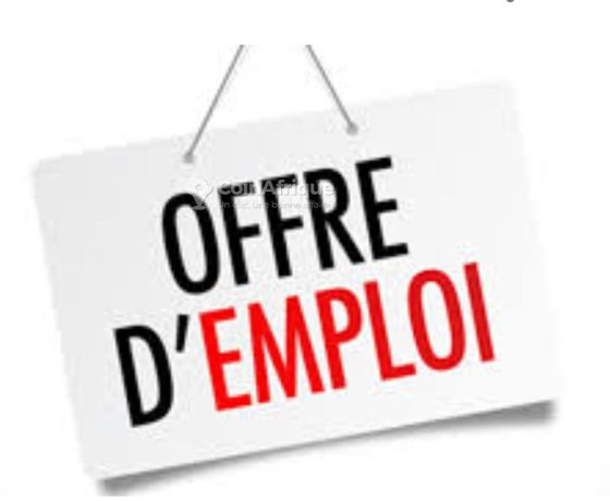 offre-demploi-commerciale-big-0