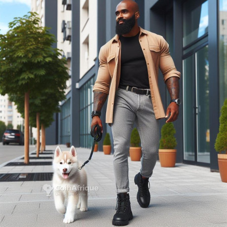 chiot-husky-big-0
