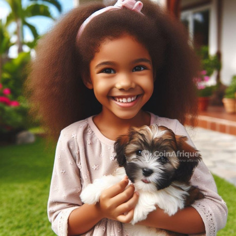 chiot-big-0