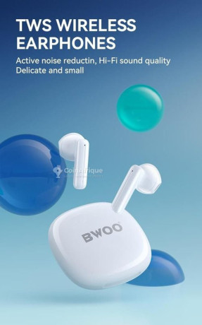 ecouteur-bluetooth-bwoo-bw06-big-1