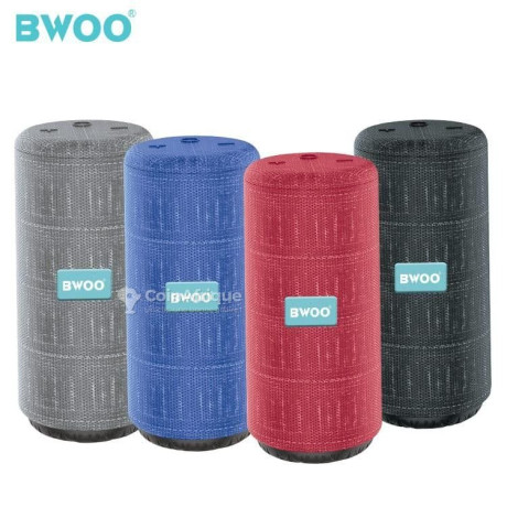 haut-parleur-bwoo-bs-52-big-0